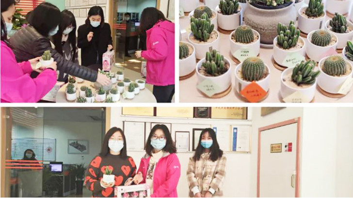 三八婦女節(jié)，向閃閃發(fā)光的環(huán)保女神們致敬